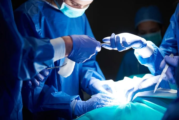 cirurgia de alta complexidade em cães