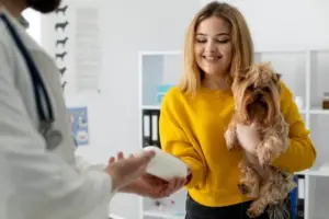 clínica veterinária especializada