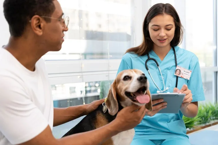 consulta médica veterinária
