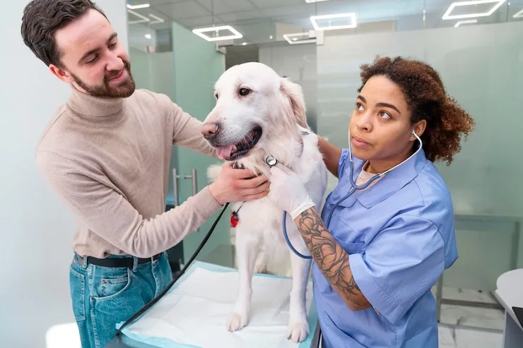 consulta veterinária especializada em Belo Horizonte